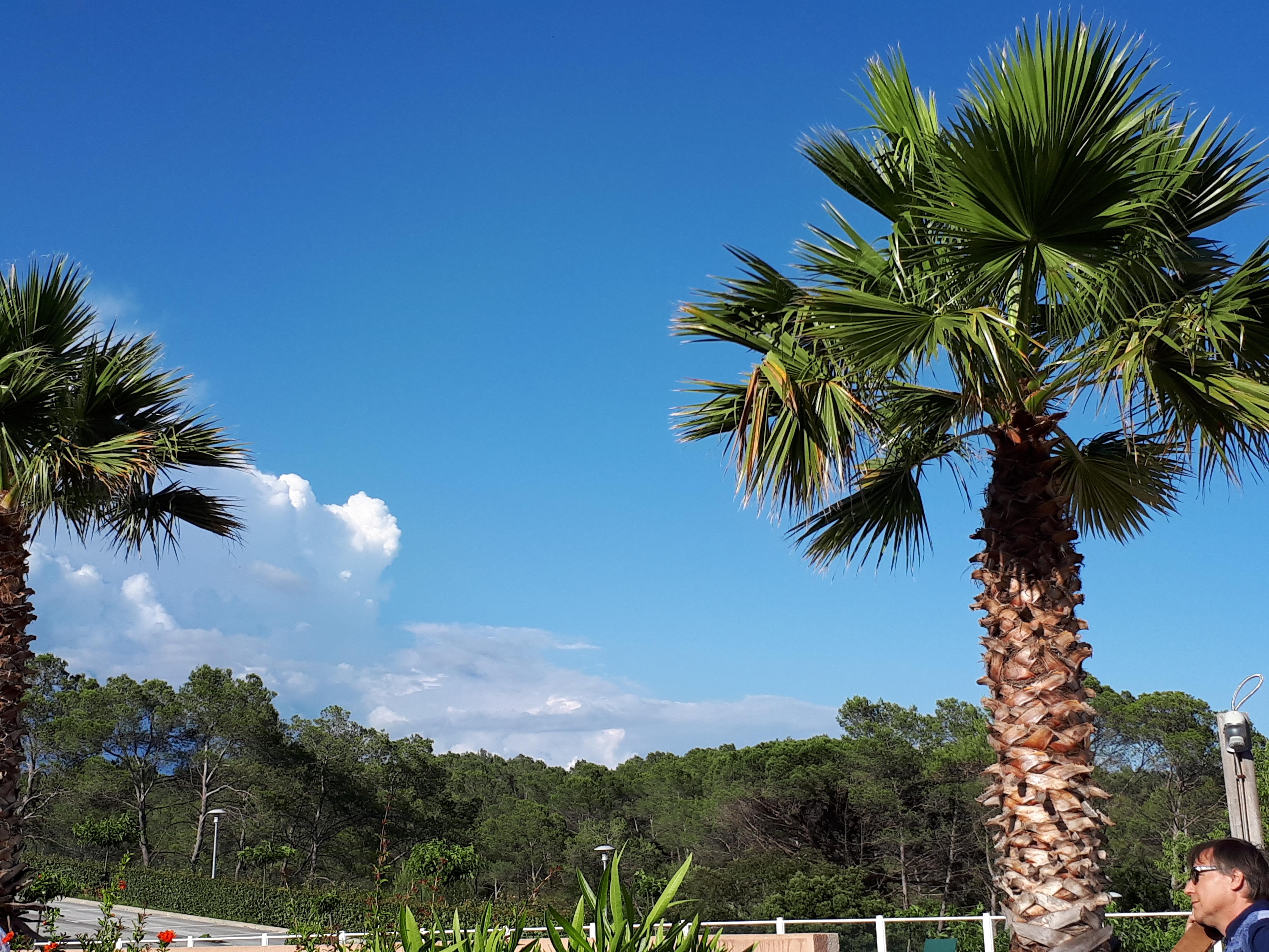 Les Parasols D'Argens Roquebrune-sur Argens Εξωτερικό φωτογραφία