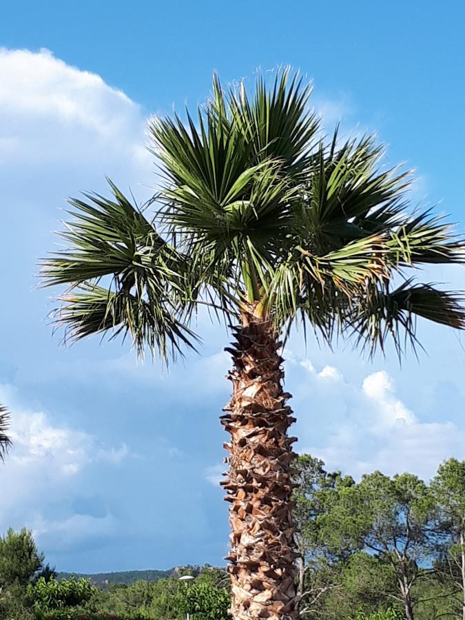 Les Parasols D'Argens Roquebrune-sur Argens Εξωτερικό φωτογραφία